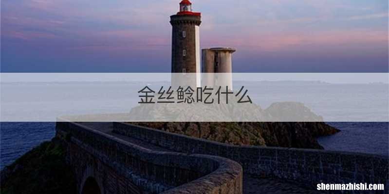 金丝鲶吃什么