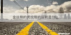 金丝熊的虎纹熊的区别是什么