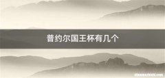 普约尔国王杯有几个