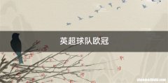 英超球队欧冠