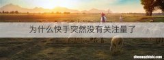 为什么快手突然没有关注量了