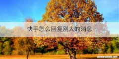 快手怎么回复别人的消息