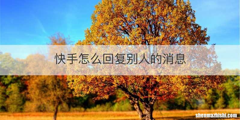 快手怎么回复别人的消息