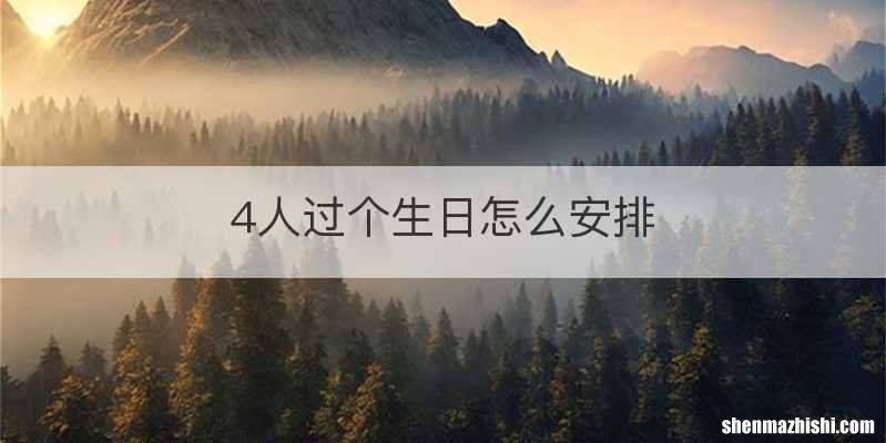 4人过个生日怎么安排