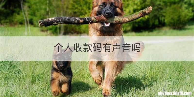 个人收款码有声音吗