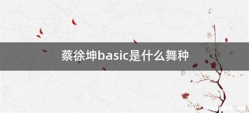 蔡徐坤basic是什么舞种