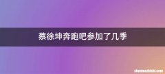 蔡徐坤奔跑吧参加了几季