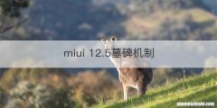 miui 12.5墓碑机制
