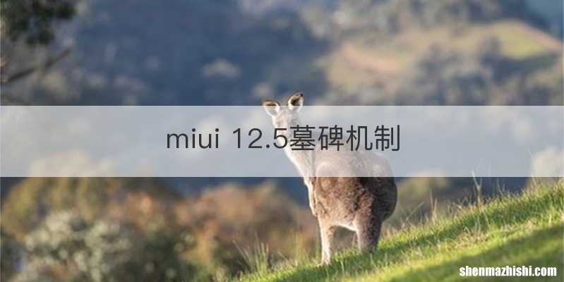 miui 12.5墓碑机制