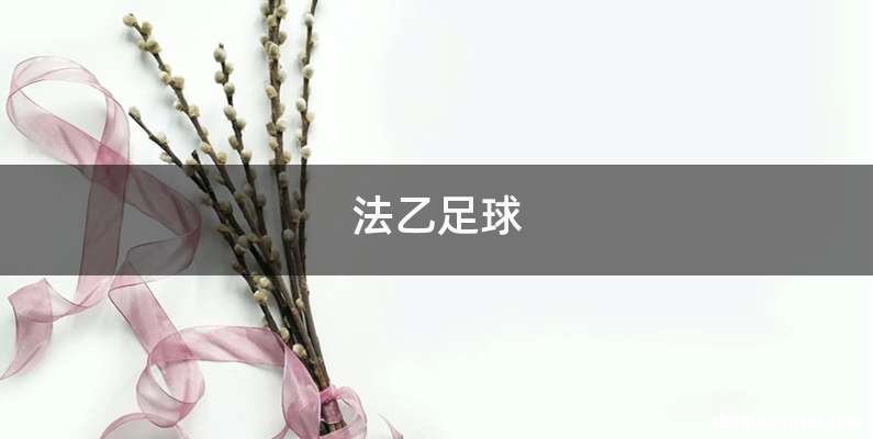 法乙足球