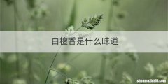 白檀香是什么味道
