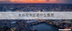 本命花木兰是什么意思
