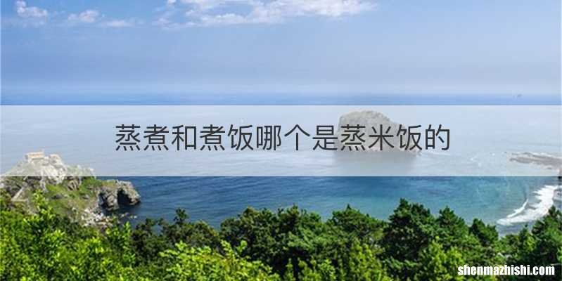 蒸煮和煮饭哪个是蒸米饭的