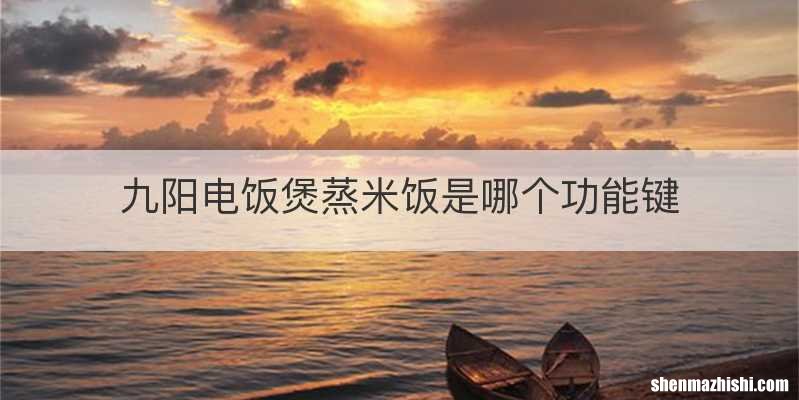九阳电饭煲蒸米饭是哪个功能键