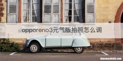 opporeno3元气版拍照怎么调