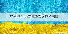 红米k30pro变焦版有内存扩展吗