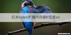 红米note5扩展内存插tf还是sd