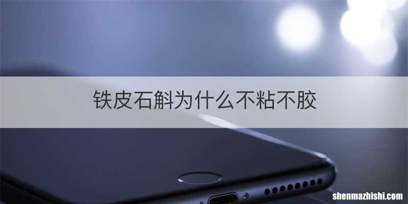 铁皮石斛为什么不粘不胶