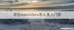 华为watch2pro怎么录入门禁