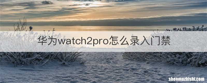 华为watch2pro怎么录入门禁