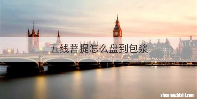 五线菩提怎么盘到包浆