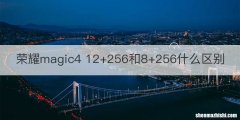 荣耀magic4 12+256和8+256什么区别