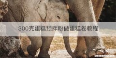 300克蛋糕预拌粉做蛋糕卷教程