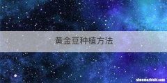 黄金豆种植方法