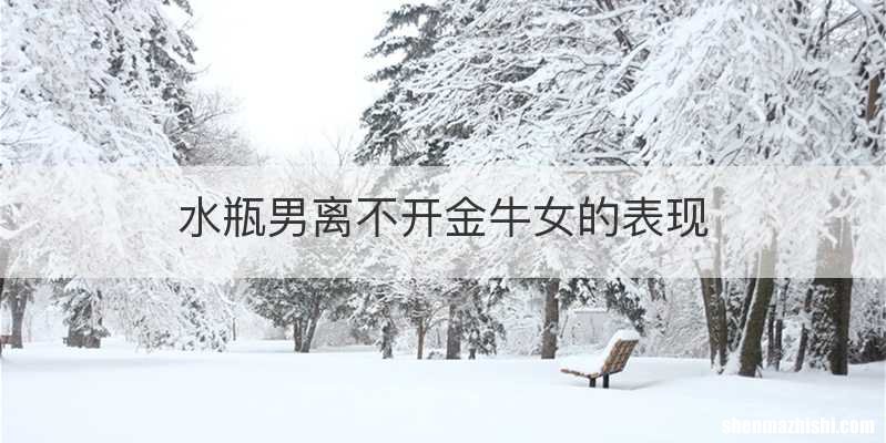 水瓶男离不开金牛女的表现