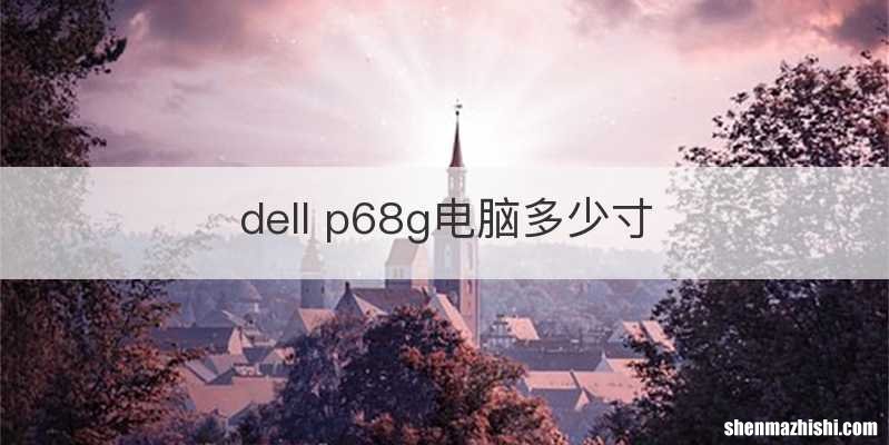 dell p68g电脑多少寸