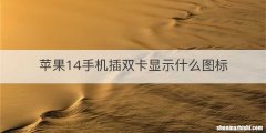 苹果14手机插双卡显示什么图标