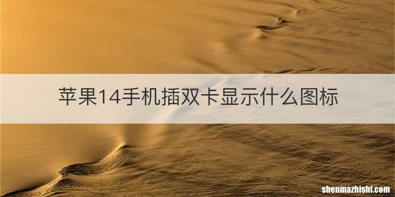 苹果14手机插双卡显示什么图标
