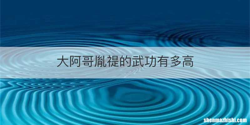 大阿哥胤禔的武功有多高