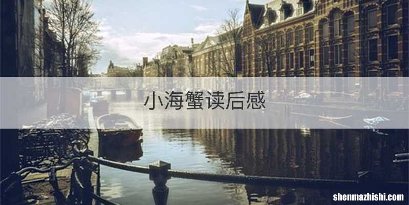 小海蟹读后感