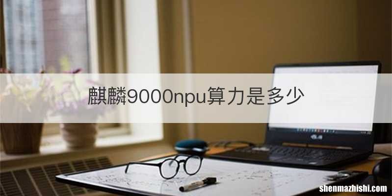 麒麟9000npu算力是多少
