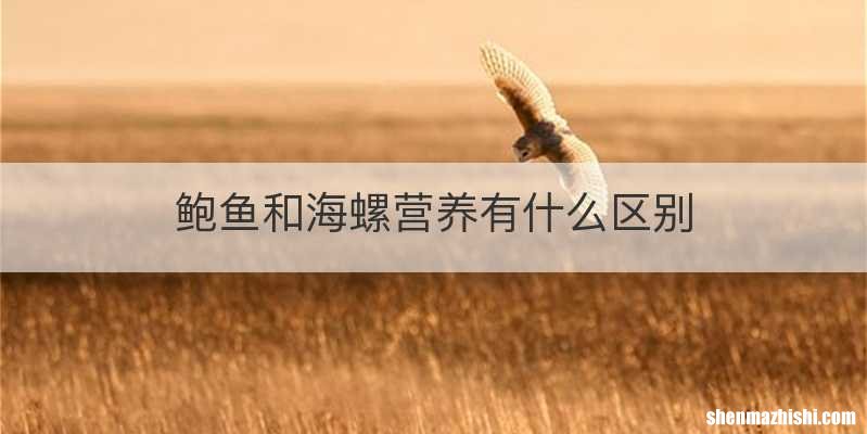 鲍鱼和海螺营养有什么区别