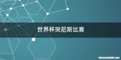 世界杯突尼斯比赛