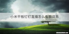 小米平板钉钉直播怎么看群信息