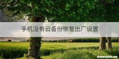手机没有云备份恢复出厂设置