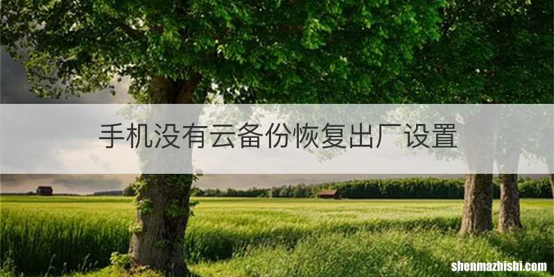 手机没有云备份恢复出厂设置