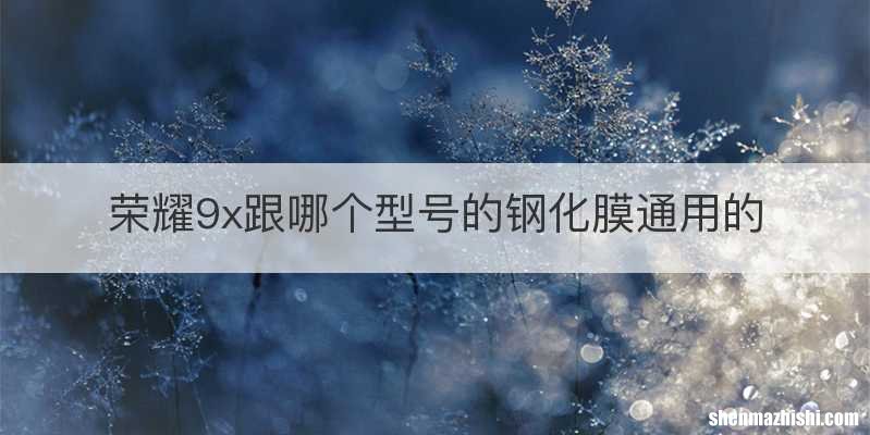 荣耀9x跟哪个型号的钢化膜通用的