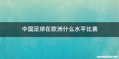 中国足球在欧洲什么水平比赛