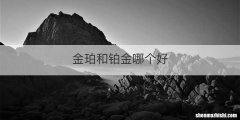 金珀和铂金哪个好