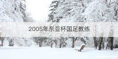 2005年东亚杯国足教练