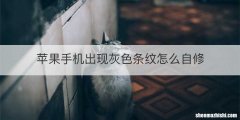 苹果手机出现灰色条纹怎么自修