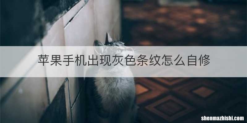 苹果手机出现灰色条纹怎么自修