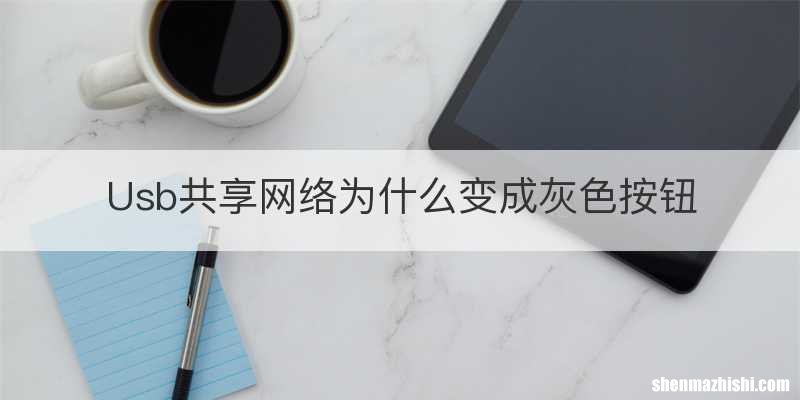 Usb共享网络为什么变成灰色按钮