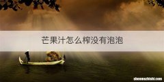 芒果汁怎么榨没有泡泡