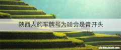 陕西人的车牌号为啥会是青开头