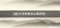 咸 大马哈鱼怎么做好吃~